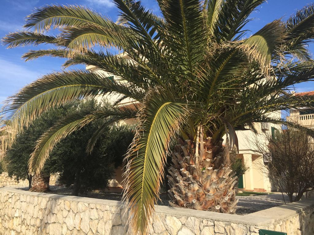 סטארה נובליה Apartments Andrea מראה חיצוני תמונה
